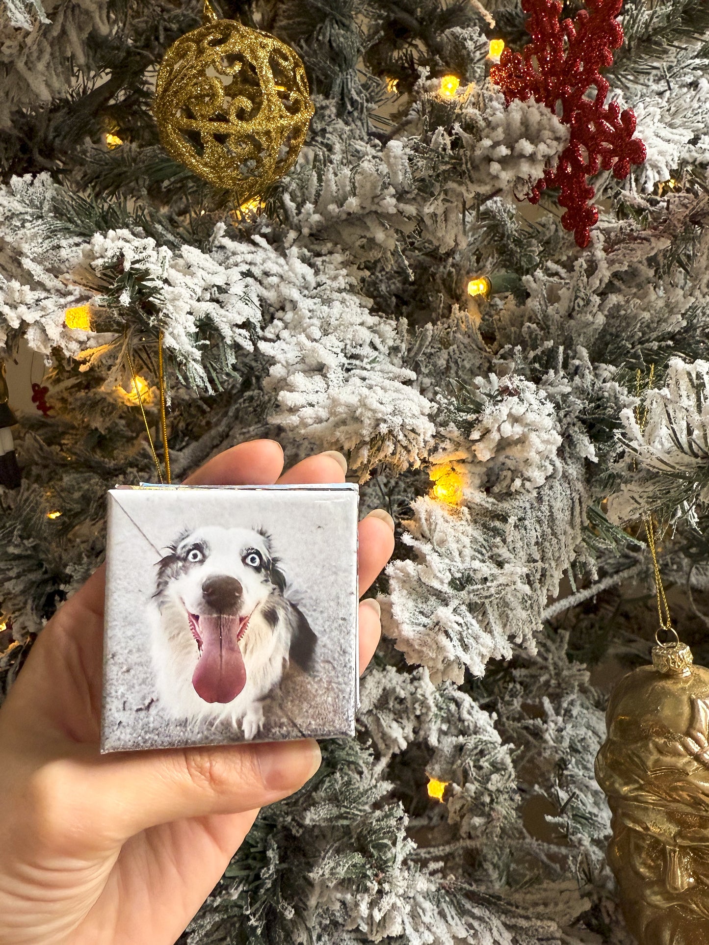 Imanes Personalizados